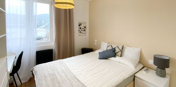 ROUTE DE DARNETAL Roommate 4 Bedrooms at Rouen - Photo 2