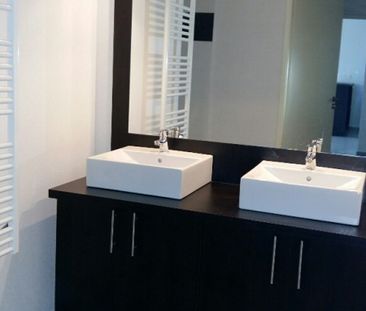 Location Appartement 3 pièces 54m² LAUNAGUET 31140 - Photo 3