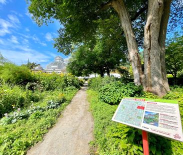 For Lease - 173 Carlton Street Unit# Lower 1, Toronto, Ontario - Photo 1