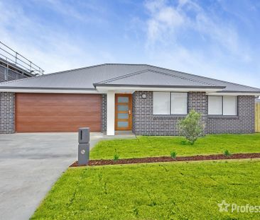 19 Taylor Street, Oran Park NSW 2570 - Photo 1