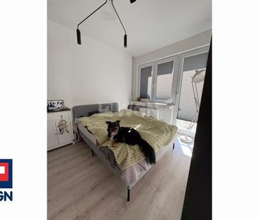 Mieszkanie na wynajem Szczecin - Centrum 4 pokoje przy Glaxy - Zdjęcie 5