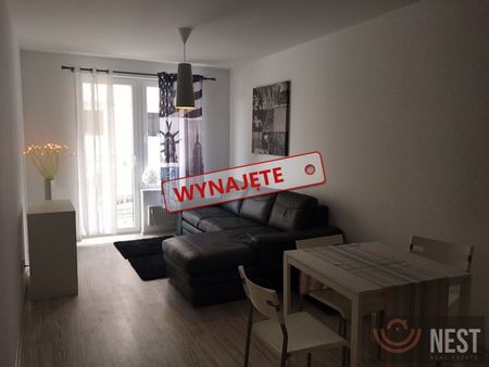 Do wynajęcia 2 pokojowy apartament ul. Potulicka - Photo 3