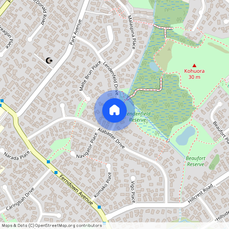 29 Lendenfeld Drive, Papatoetoe, Manukau City