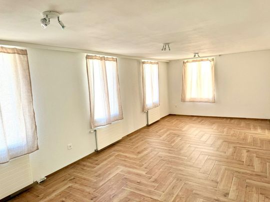 NEU: Charmante 2.5-Zimmer-Wohnung im Herzen von Frauenfeld - Photo 1