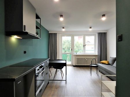 Poznań Poznań-Grunwald, ul. Lodowa - Photo 2