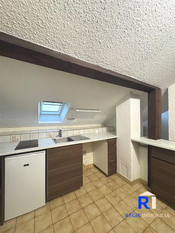 Location Appartement 1 pièce 22m² GRENOBLE 38100 - Photo 2