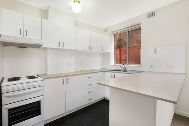 Charming One-Bedroom Ground Floor Apartment near Unsw - Photo 1