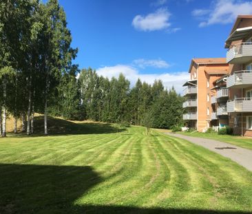 Uppfinnarvägen, Skellefteå - Foto 2