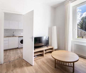 Location Appartement 1 pièce Meublé 26m² NANTES 44100 - Photo 1