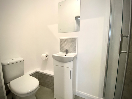 Newly Renovated Studio style en-suite rooms - Photo 1