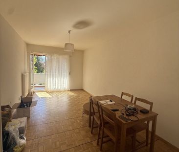 2 Zimmer, 43 m², EG - Photo 1
