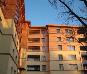Demnächst frei! 3-Zimmer-Wohnung in Dortmund Scharnhorst - Foto 2