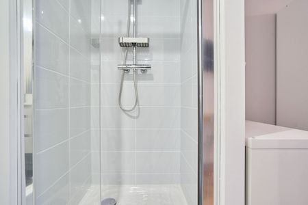 JARDINIERS C11 Colocation 3 chambres à Nancy - Photo 2