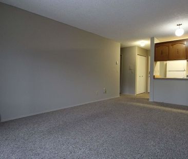 626 57 Avenue SW, Calgary - Photo 4