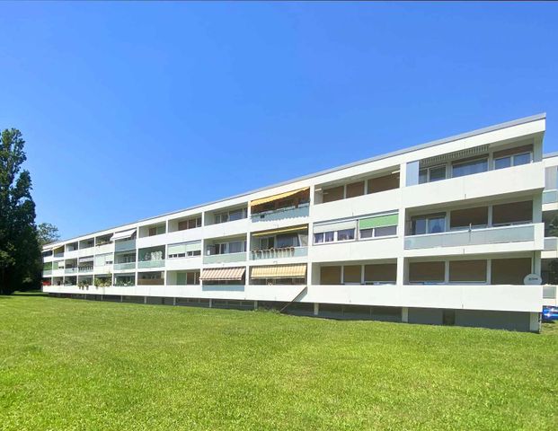 Appartement de 4 pièces à Onex - Foto 1