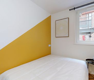 TOURS Colocation 3 chambres à Lille - Photo 3