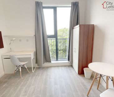 1 Bedroom Studio - Photo 5