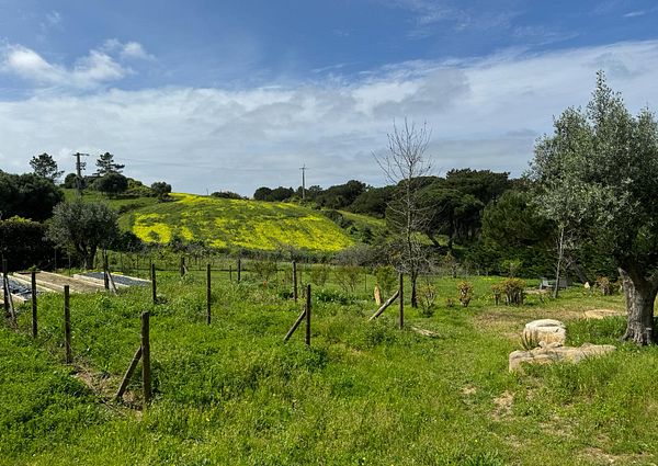 Newly built light three-bedroom villa located in the village of Janas, Sintra