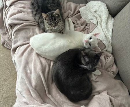 Point Cook - Photo 4