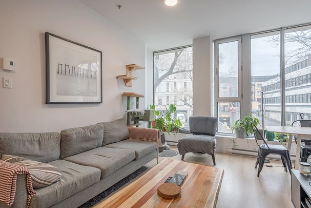405 Rue Sherbrooke E., Montréal (Le Plateau-Mont-Royal), QC H2L - Photo 1