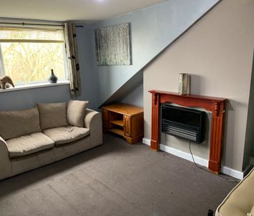 Studio Flat, Cambrian Terrace, LS11 - Photo 4