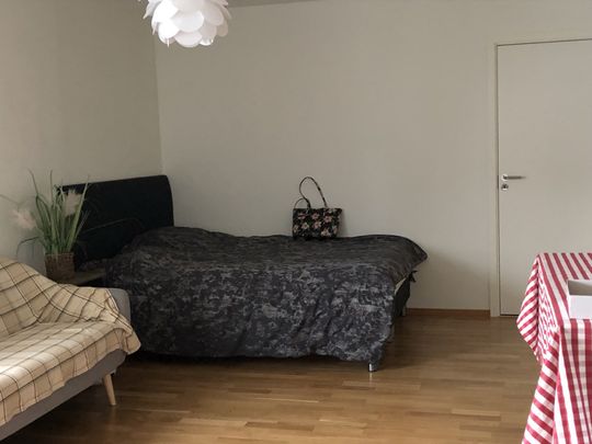 Torgny Segerstedts Allé, Uppsala - Photo 1