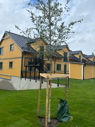 Stämmarsundsbacken, Blidö - Foto 1