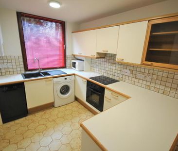 1c Mornington Mews, Belfast, BT7 3JZ - Photo 5