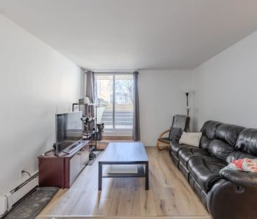 Le Confluent Appartements Appartement 4 ½ à Louer Lévis Juillet 2026 - Photo 1