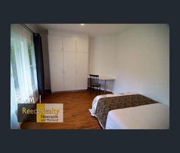 64 Moore Street, Birmingham Gardens, NSW 2287 - Photo 3