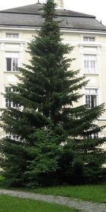 HOLLABRUNN XXIV/2 - Seminarvilla - Photo 4