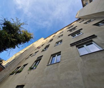 Schöne, helle Wohnung 2 Zimmer direkt am beliebten Hannovermarkt - Foto 4