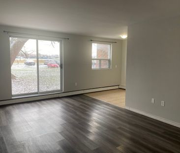 One Bedroom Apartment - Photo 2