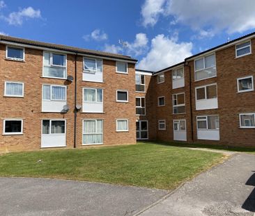 Crocus Way, Chelmsford, Springfield - Photo 3