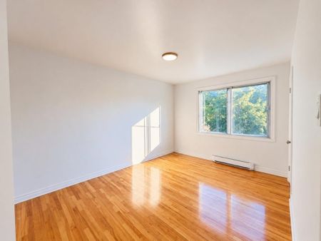 4022 Rue Simon, H1H 2J5, H1H 2J5, Montréal - Photo 4