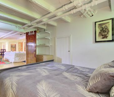 Appartement à louer - Montréal (Le Plateau-Mont-Royal) (Le Plateau-... - Photo 5