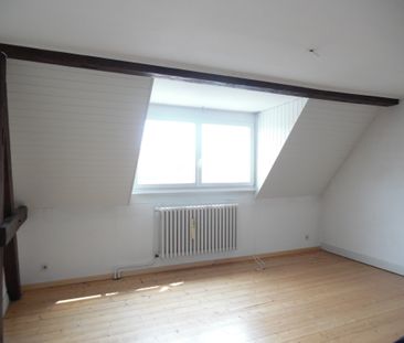 Location Appartement 4 pièces 130m² STRASBOURG 67000 - Photo 5