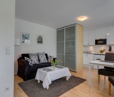 At Theresienstraße (U2): studio apartment - Photo 1