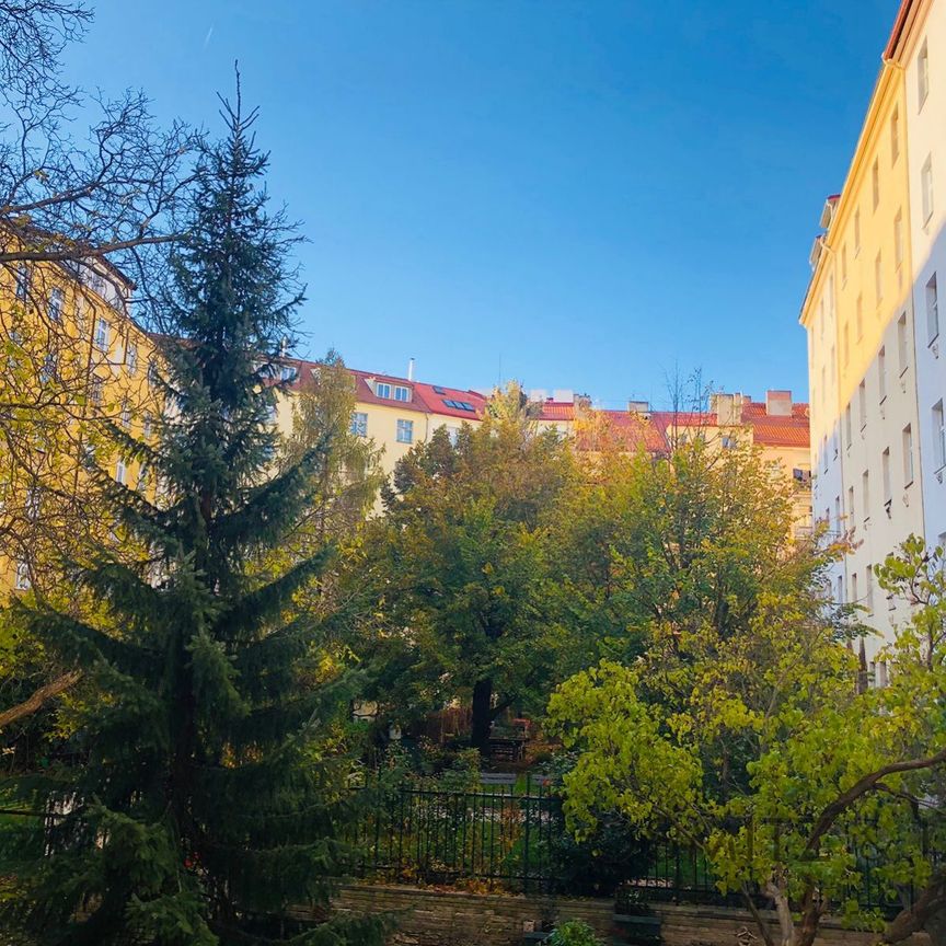 Pronájem bytu 1+1 40 m², Praha - Фото 1