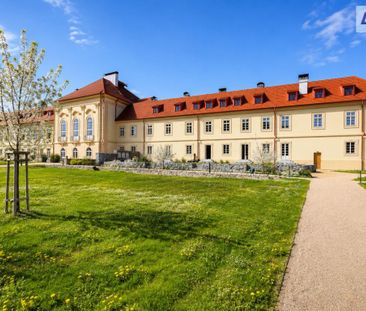 Pronájem bytu 1+kk 38 m2 - Fotografie 6