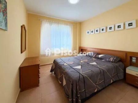 Piso en alquiler en Carrer Palometa - Photo 4
