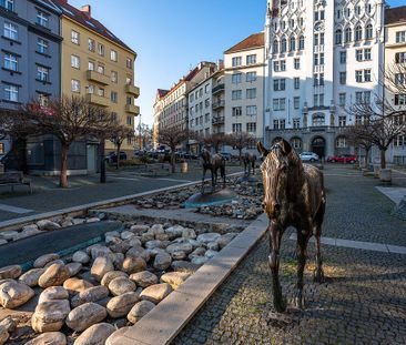 Pronájem bytu 1+kk 36 m² - Photo 2