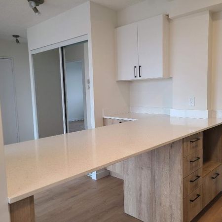 1 CH - 1 SDB - Côte Saint-Luc - $1,585 /mo - Photo 3