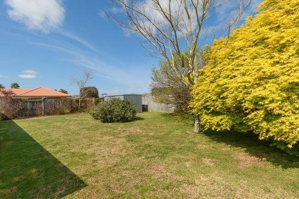 Lovely Family Home - Papamoa - Photo 1