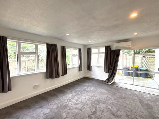 113c Ruskin Street, Addington, NZ 8041 - Photo 1