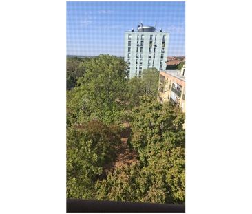 Pécs Páfrány utcai ingatlan kiadó - Fotó 6