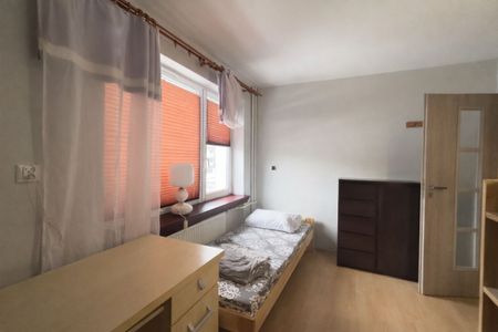 Dom na wynajem dla firm – 150 m² | 5 pokoi | - Zdjęcie 3