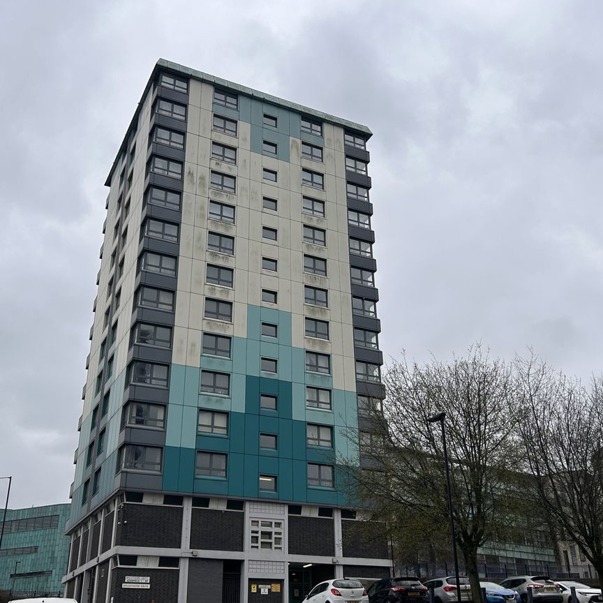 Brightmore Drive Sheffield S3 7NF - Photo 1