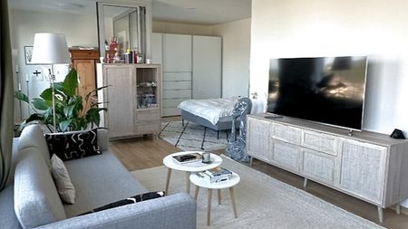 1½ Zimmer-Wohnung in Basel - Gundeldingen, möbliert, auf Zeit - Foto 3