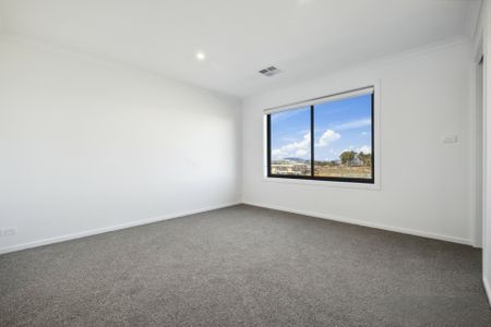Brand New 4 Bedroom Townhouse - Photo 4